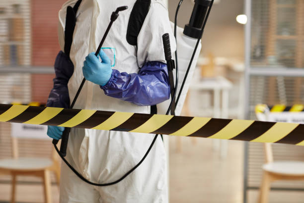 Professional Sewage Cleanup technician working in Bennet, NE
